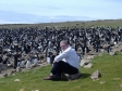 Falklands - penguins
